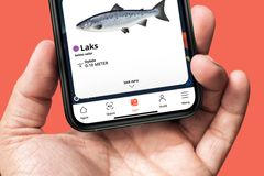 Fiskher er den mest komplette fiskeappen noensinne, og har mer en 400.000 brukere over hele Skandinavia. Nå er appen også lansert i Tyskland.