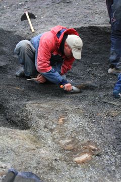 Bildet viser  Tommy Wensås fra utgravingen av Keilhauia nui på Svalbard. Foto Spitsbergen Mesozoic Research Group.