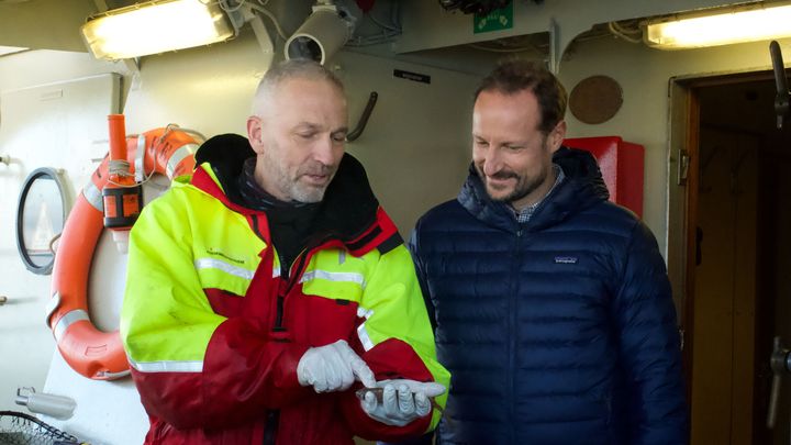 Ketil Hylland og Kronprins Haakon teller opp fisk under forskningstokt i Oslofjorden. Foto: Elina Melteig/UiO