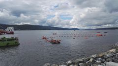 Nexans Norway AS har produsert og nylig installert et nytt sjøkabelsystem i Indre Oslofjord på oppdrag fra Statnett.