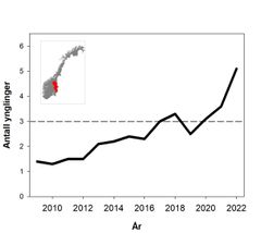 Figuren viser beregnet antall årlige ungekull av brunbjørn i rovviltregion 5 Hedmark. Stiplet horisontal linje angir bestandsmålsettingen i de ulike rovviltregionene. Figur: Rovdata