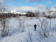 Godt og raskt skiføre til Erlingbu i Sjunkhatten nasjonalpark 25. mars Foto: Tore Veisetaune