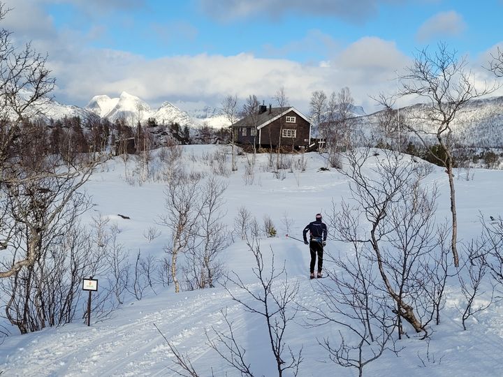 Godt og raskt skiføre til Erlingbu i Sjunkhatten nasjonalpark 25. mars Foto: Tore Veisetaune