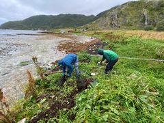 Ansatte i SALT og Hold Norge Rent har brukt 2 000 arbeidstimer i felt på 296 ulike strender for å skaffe mer innsikt i marin forsøpling som miljøproblem.
