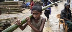 En gutt bærer bambus, som skal benyttes til å bygge enkle hus for flyktningene i Cox's Bazar. Dette bildet er fra 8. juli 2018. Foto: UNICEF/Patrick Brown