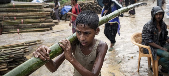 En gutt bærer bambus, som skal benyttes til å bygge enkle hus for flyktningene i Cox's Bazar. Dette bildet er fra 8. juli 2018. Foto: UNICEF/Patrick Brown