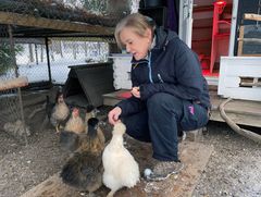 TAMME: Hønene i hagen til Christin Nordahl på Nordstrand kommer raskt når matmor finner frem godbitene. (Foto: Felleskjøpet Agri)