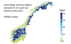 Figur 2: mot slutten av århundret må vi opp på cirka 600-800 moh i Sør-Norge og cirka 400-500 moh i Nord-Norge (inkludert størsteparten av Finnmarksvidda) for å finne snøen. Beregningen tar utgangspunkt i såkalt middels utslippsnivå (RCP4.5).