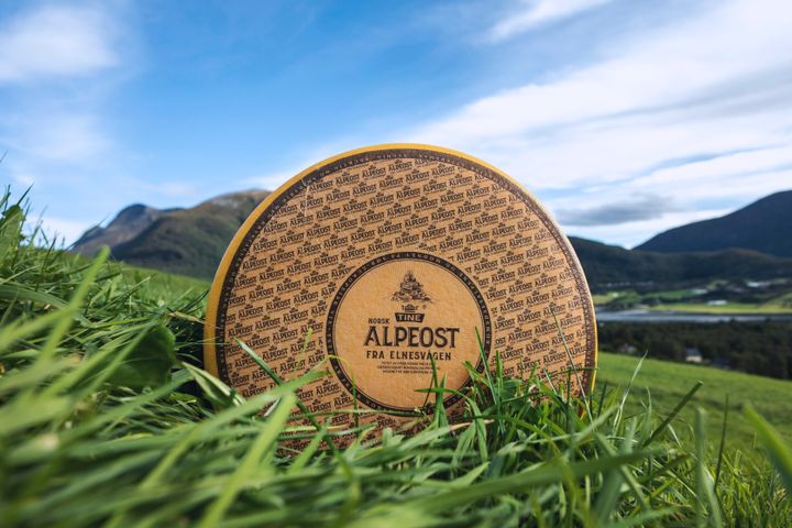 TINE Norsk Alpeost er kandidat til Oste-VM og årets store nylansering fra TINE. Bildet er tatt på en av gårdene som leverer melk til osteproduksjonen i Elnesvågen, midt blant Romsdalsalpene.