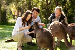 Nordmenn drømmer om Australia, og stadig flere virkeliggjør drømmen om å se kenguruer og koalaer. Her kenguruer i Healsville Sanctuary i Yarra Valley