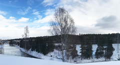 Visualisering av strekninga Gomsrud-Skollenborg, sør for Kongsberg. (Illustrasjon: Glitre Energi Nett)