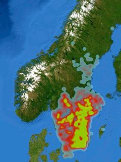 Heatmap over hogstmeldinger i Sverige som inneholder ord relatert til granbarkbille. Foto: Gunnar Isacsson/Skogsstyrelsen