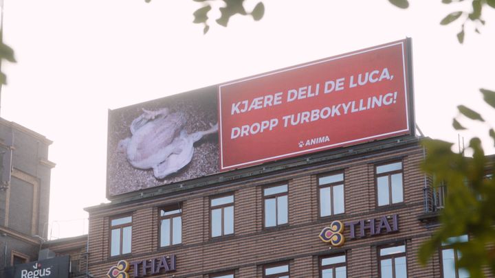 Bilde av en annonseskjerm med budskapet “Kjære Deli de Luca, dropp turbokylling!” plassert på Rådhusplassen i København. Foto: Anima
