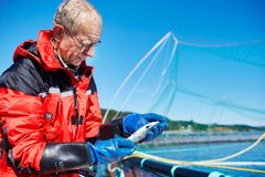 Mattilsynet fører tilsyn med forekomst av lakselus og fiskesykdommer i oppdrettsnæringen. (Foto: Mattilsynet)