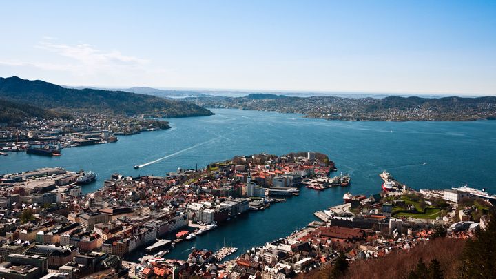 Puddefjorden er et av tre fjordryddingsprosjekter i Bergen. Etter ferdigstillelsen er fjorden friskmeldt og det marine livet er allerede på vei tilbake. Foto: Anpalacios/ Flickr