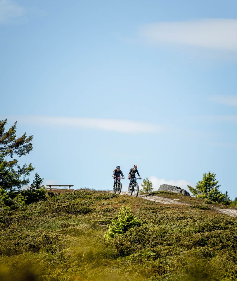 sykkelsommer_web-4