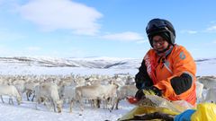 Vinteren og våren 2020 opplevde reindriften i Norge en alvorlig beitekrise med svært vanskelige beiteforhold. Landbruks- og matminister besøkte Finnmarksvidda høsten 2020. Foto: Landbruks- og matdepartementet