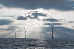 Verdens største vindpark, London Array, er blant havvindprosjektene i COWI portefølje. Foto: London Array Ltd