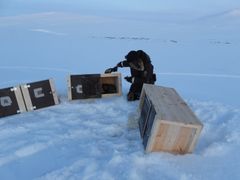 Foto: SNO/Miljødirektoratet