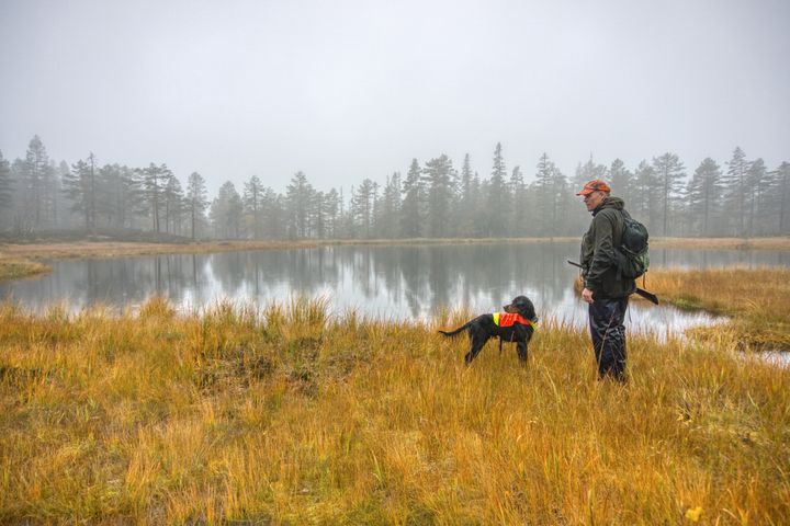 Småviltjakt i Finnemarka Foto: Torkel Skoglund