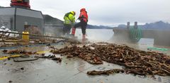 Mannskapet på arbeidsbåten Hydra rensker av all biomasse før tauverk og øvrig avfall blir sortert og levert til gjenvinning. Foto: eSEA Marine