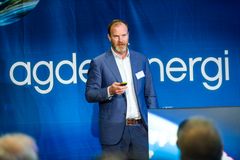 Harald von Heyden, Agder Energi