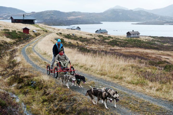 Hundekjøring på Beitostølen. Foto: Terje Rakke_Visitnorway