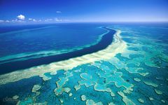 Drømmen for mange er å snorkle ved Great Barrier Reef