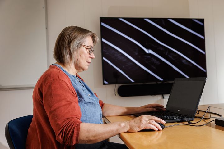 Seniorforsker Grete Bæverfjord har avdekket at ribbeinsbrudd, som vist på skjermen, er en årsak til mørke flekker. Foto: Terje Aamodt © Nofima.
