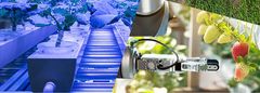 Foto: Istock