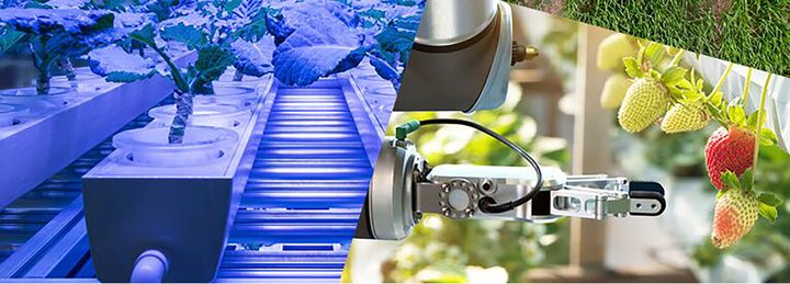 Foto: Istock
