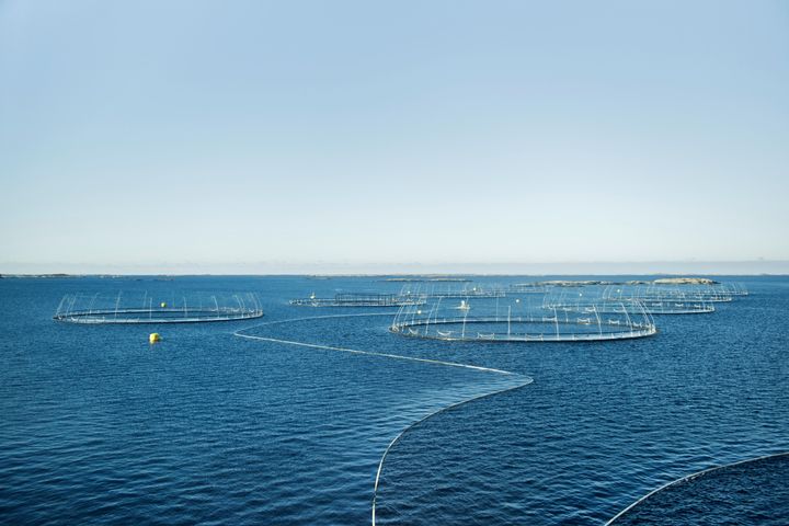 STORE UTFORDRINGER: Høye vekstambisjoner i oppdrettnæringen må kombineres med drastiske klimagassutslipp fram mot 2050 (Foto: Enova)
