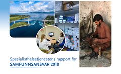 Skjermprint fra rapportens forside.
