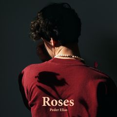 Roses artwork