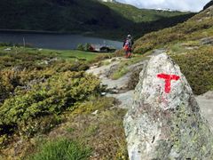 KOSTBART: - En nedgang på 18 % fra 2010 til 2015 er svært gledelig. Men i samme periode økte helsekostnadene i Norge med over 80 milliarder, eller 35 % til 311 milliarder, påpeker Norsk Friluftsliv. Foto: Synne Kvam