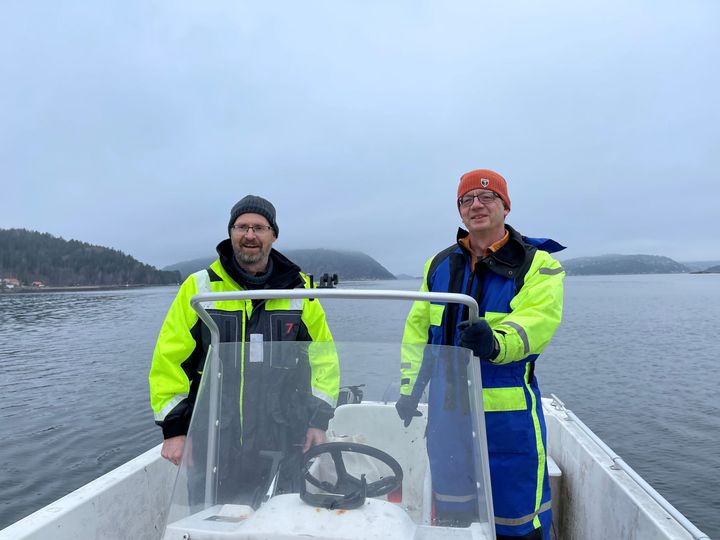 NMBU-professorene Thrond Oddvar Haugen og Knut Rudi er ute med båt på Oslofjorden for å undersøke torsk og mikroorganismer. Foto Birger Sætre