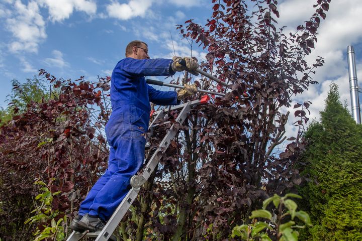 Våren en dugnadstid i sameier og borettslag. Foto: Mike Schröder/Argus/NTB Scanpix