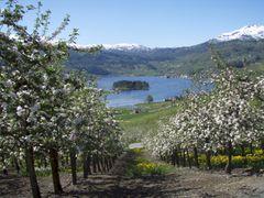 Lokalmat med forankring i norske mattradisjoner.
Foto: Drinks of Norway