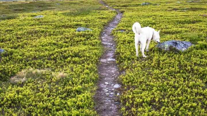 Foto: Fredrik Julius Jenssen