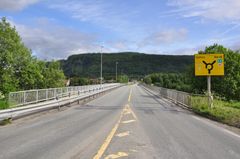 Selfors bru i Rana blir enveiskjørt en måned fremover. Trafikken sørover må følge merket omkjøring. Foto: Statens vegvesen.