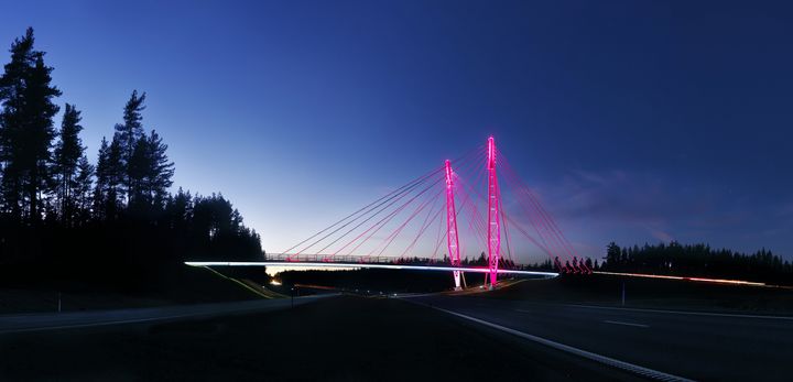 Statens vegvesen støtter Rosa sløyfe-aksjonen ved å farge Kolomoen bru over E6 i Stange rosa i hele oktober. (Foto: Jens Haugen / Kreftforeningen)