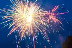 Nyttårsaften betegnes som hunders verste dag. (Foto: If)