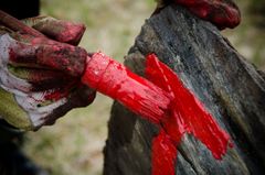 Mange gir av sin fritid til leirer, festivaler og idrettsstevner som arrangeres i løpet av sommeren. Her på dugnad for DNT. Foto: Sindre Thoresen Lønnes /DNT