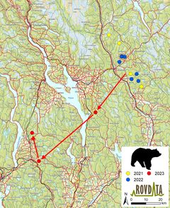 Kartet viser stedene der hannbjørnen HE258 er påvist på DNA. De røde pilene indikerer bevegelsesretningen basert på dato for når de ulike prøvene ble samlet inn. Kart: Rovdata