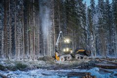 Foto: Steinar Johansen