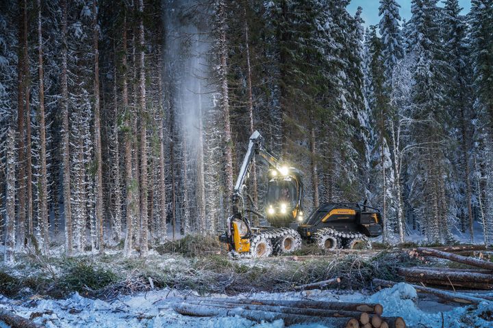 Foto: Steinar Johansen