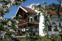 Ciderhuset ligg med nydeleg utsikt over Balestrand og Sognefjorden og driv drikkevareproduksjon og restaurant. Foto: Privat
