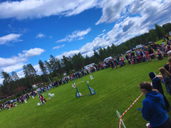 I fjor ble et prøve-nordisk arrangert under Finnskogdagene. - En kjempesuksess, sier Anna Nordlund Wiger i styret i Finnskogdagene. (Foto: Arrangør)