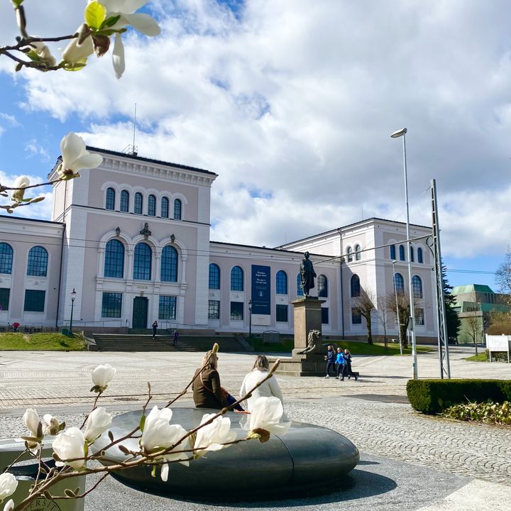 Universitetet i Bergen er et populært studiested. Over 12.200 har studier ved UiB som førstevalg.