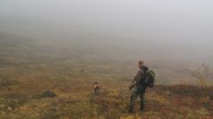 Småviltjakt i Meråker Foto: Jakob Haugen